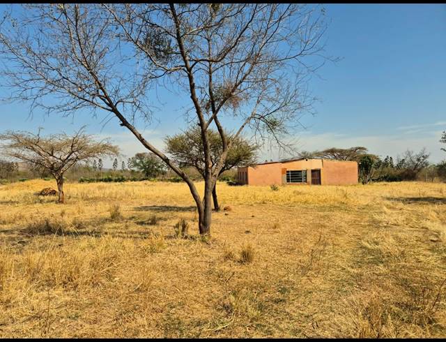 FARM FOR SALE IN DE WILDT